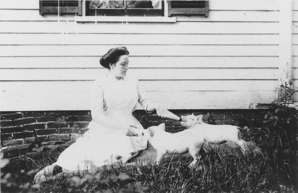 Miniature of Lottie Williams with piglets on front lawn, Williamsville, Vt.