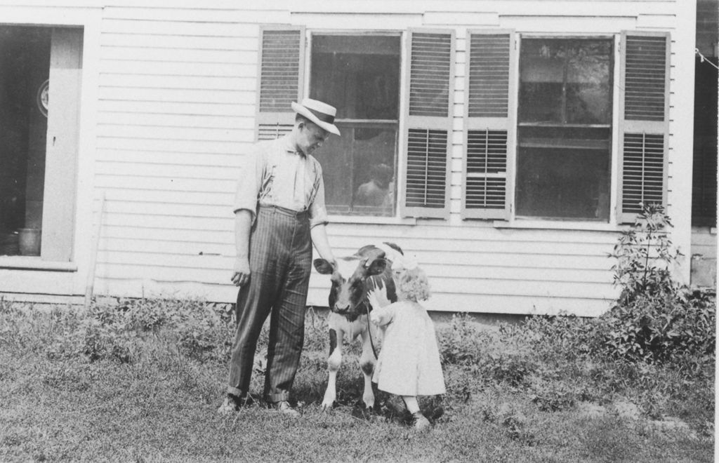 Miniature of Marion Fairbanks and father with a calf, Williamsville, Vt.