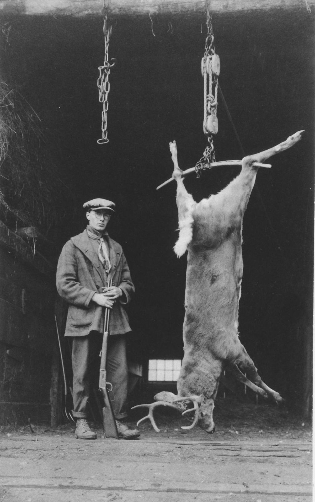 Miniature of Irving Williams with hanging deer he shot, Williamsville, Vt.